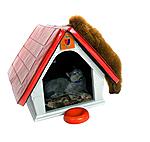 Click image for larger version

Name:	Cool-Pet-House3.jpg
Views:	312
Size:	21.7 KB
ID:	483