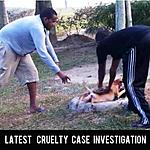 Click image for larger version

Name:	cruelty 3.jpg
Views:	265
Size:	28.7 KB
ID:	11576