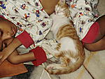 Click image for larger version

Name:	Iman's sleeping partner.jpg
Views:	93
Size:	75.6 KB
ID:	8852