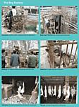 Click image for larger version

Name:	dog_factory.jpg
Views:	135
Size:	55.3 KB
ID:	1047