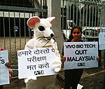 Click image for larger version

Name:	peta%20protest.jpg
Views:	127
Size:	89.1 KB
ID:	9526