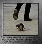 Click image for larger version

Name:	sad-kitty2.jpg
Views:	296
Size:	13.2 KB
ID:	10877