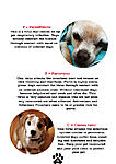 Click image for larger version

Name:	AD0908-1Hibatullah0908054_DogVaccines6.jpg
Views:	108
Size:	94.4 KB
ID:	9662