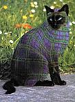 Click image for larger version

Name:	painted-cats-007.jpg
Views:	54
Size:	53.6 KB
ID:	6893