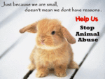 Click image for larger version

Name:	StopAnimalAbuse.gif
Views:	320
Size:	55.6 KB
ID:	10876