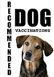 Click image for larger version

Name:	AD0908-1Hibatullah0908054_DogVaccines10.jpg
Views:	109
Size:	70.2 KB
ID:	9657