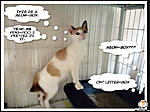 Click image for larger version

Name:	showing off litter-box.jpg
Views:	324
Size:	190.9 KB
ID:	3678