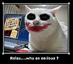 Click image for larger version

Name:	why so serious...jpg
Views:	1537
Size:	47.5 KB
ID:	1123