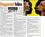 Click image for larger version

Name:	doggonedfeline.jpg
Views:	73
Size:	74.6 KB
ID:	3915