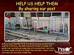 Click image for larger version

Name:	MIar shelter.jpg
Views:	2521
Size:	64.2 KB
ID:	12001