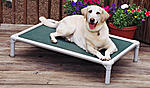 Click image for larger version

Name:	DogBed.jpg
Views:	61
Size:	80.7 KB
ID:	5934