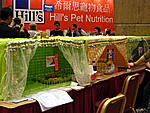 Click image for larger version

Name:	CAT SHOW HK APR09 107.jpg
Views:	402
Size:	95.0 KB
ID:	4460