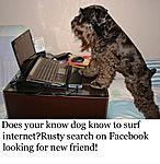 Click image for larger version

Name:	Rusty On Facebook.jpg
Views:	105
Size:	116.4 KB
ID:	10178