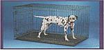 Click image for larger version

Name:	Dog Cage.JPG
Views:	293
Size:	29.8 KB
ID:	10131