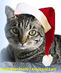 Click image for larger version

Name:	christmas blackie_2.jpg
Views:	236
Size:	11.7 KB
ID:	2590