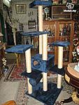 Click image for larger version

Name:	cat tree.jpg
Views:	165
Size:	37.2 KB
ID:	9601