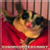 SugarCoatedCandy's Avatar