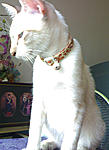 Click image for larger version

Name:	19102010189.jpg
Views:	356
Size:	98.2 KB
ID:	10280