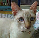 Click image for larger version

Name:	19102010194.jpg
Views:	360
Size:	91.8 KB
ID:	10284