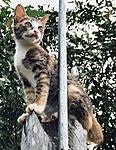 Click image for larger version
Name: 9AA09AD0-7F24-4F9C-82A6-A5295C7254DE.jpeg
Views: 1976
Size: 569.6 KB
ID: 12470