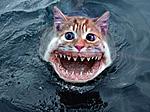 Click image for larger version

Name:	CATFISHjpg.BMP
Views:	292
Size:	445.0 KB
ID:	2432