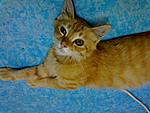 Click image for larger version

Name:	DSC00410.JPG
Views:	369
Size:	162.4 KB
ID:	2903
