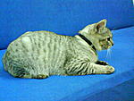 Click image for larger version

Name:	DSC00420.jpg
Views:	343
Size:	68.7 KB
ID:	5552