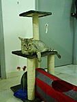Click image for larger version

Name:	DSC00479.jpg
Views:	345
Size:	102.2 KB
ID:	5563