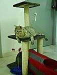 Click image for larger version

Name:	DSC00480.jpg
Views:	340
Size:	101.5 KB
ID:	5564
