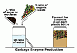 Click image for larger version

Name:	Garbage_enzyme_production.png
Views:	102
Size:	84.5 KB
ID:	10143