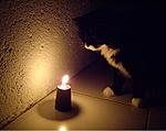 Click image for larger version

Name:	earth hour 5.jpg
Views:	99
Size:	34.4 KB
ID:	4127