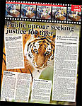 Click image for larger version

Name:	Tiger_6.jpg
Views:	165
Size:	39.0 KB
ID:	9411