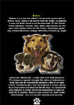 Click image for larger version

Name:	AD0908-1Hibatullah0908054_DogVaccines9.jpg
Views:	110
Size:	91.3 KB
ID:	9665