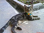 Click image for larger version
Name: DSC02562.jpg
Views: 711
Size: 83.4 KB
ID: 7265
