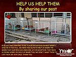 Click image for larger version

Name:	MIar shelter.jpg
Views:	2503
Size:	64.2 KB
ID:	12001