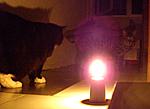 Click image for larger version

Name:	earth hour 6.jpg
Views:	105
Size:	40.0 KB
ID:	4151