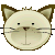 Cat Shy